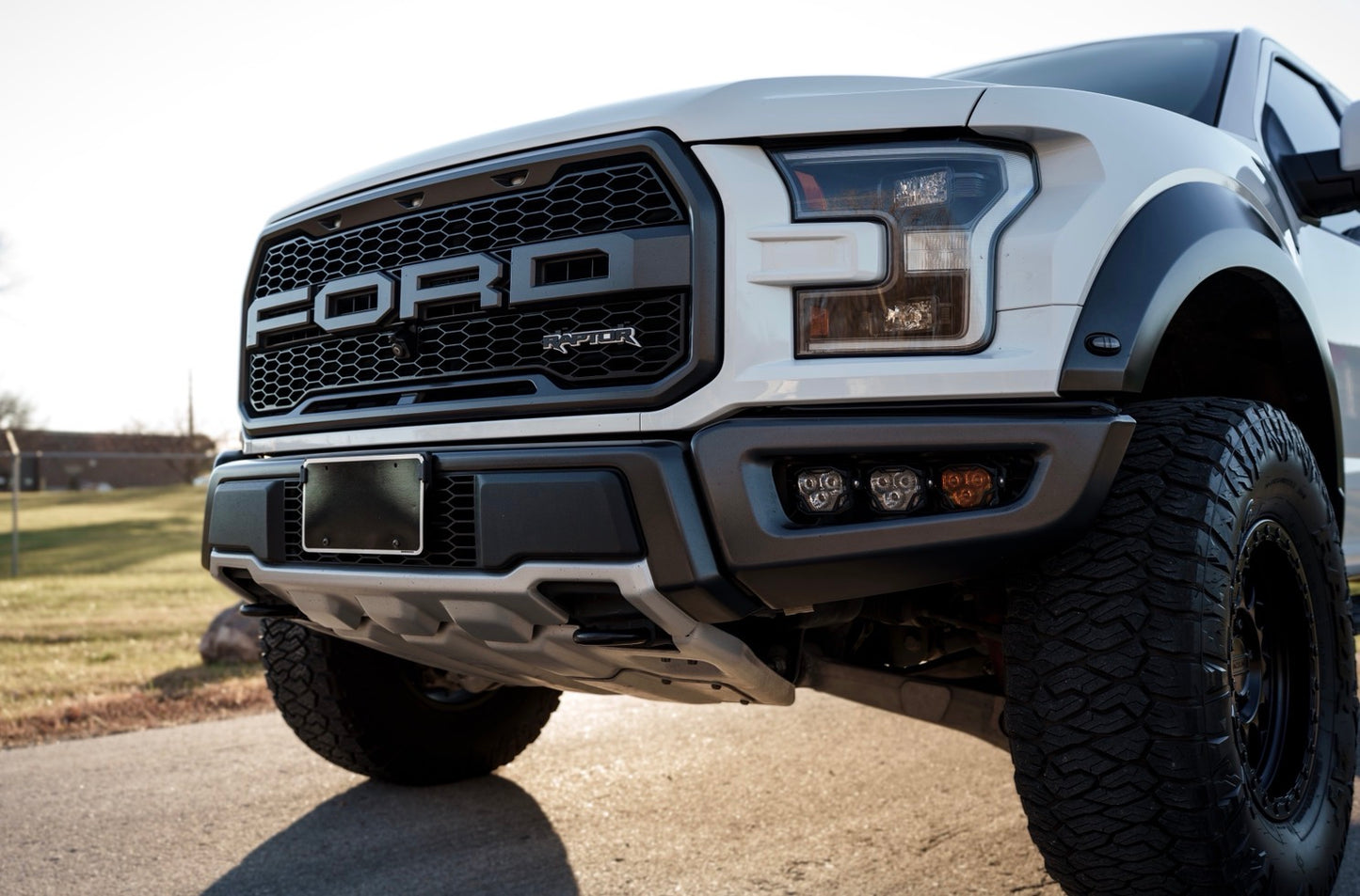 2017-2020 Raptor Grille Emblem