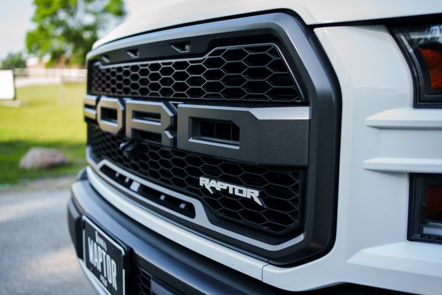 17-20 Raptor Grille Emblem