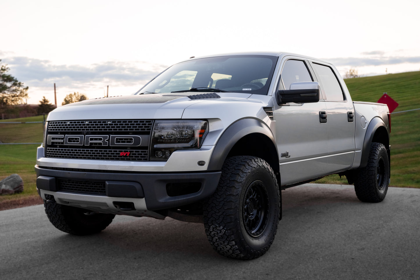 2010-2014 SVT Grille Emblem