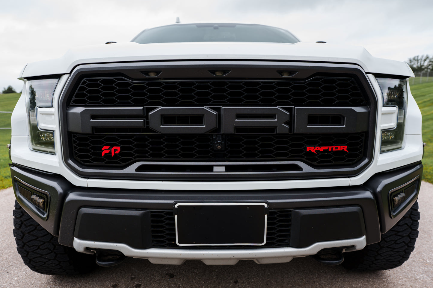 17-20 Raptor Grille Emblem