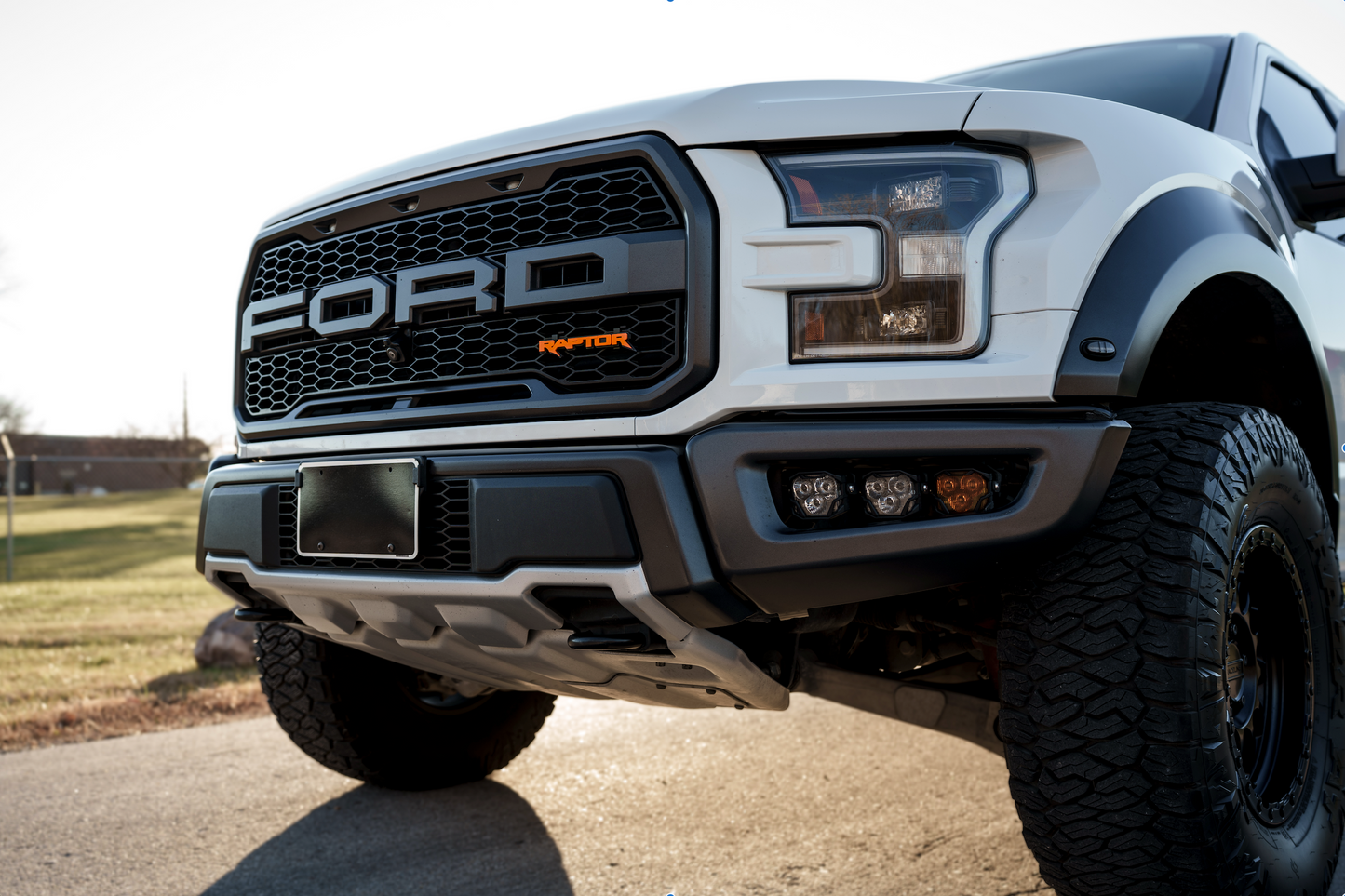 2017-2020 Raptor Grille Emblem