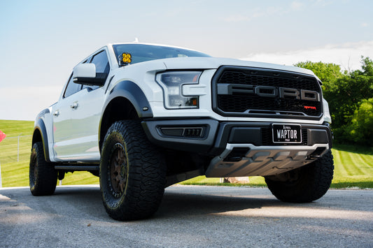 2017-2020 Raptor Grille Emblem
