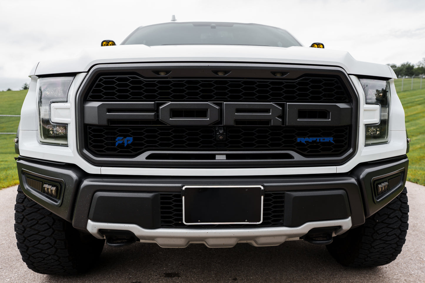 17-20 Raptor Grille Emblem