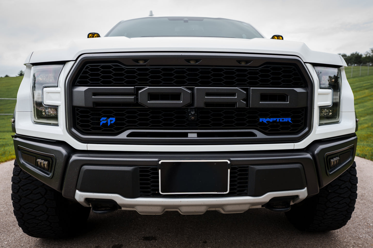 17-20 Raptor Grille Emblem