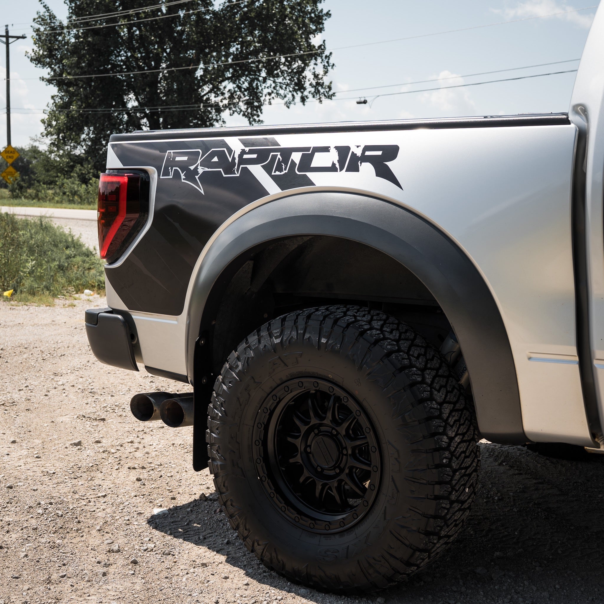 Raptor Bedside Graphics / Decals